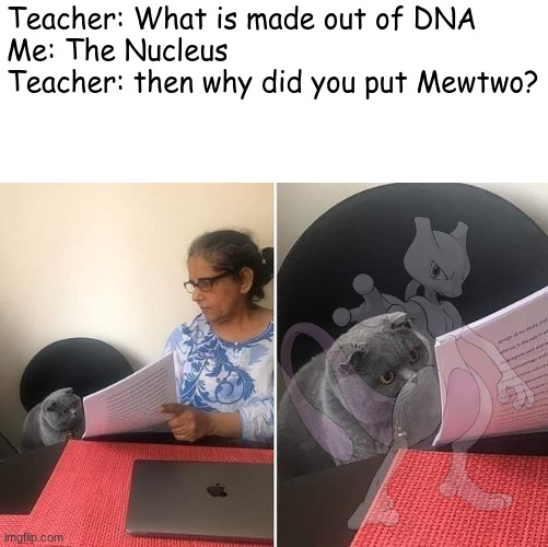 Woman showing paper to cat | Teacher: What is made out of DNA
Me: The Nucleus
Teacher: then why did you put Mewtwo? | image tagged in woman showing paper to cat,mewtwo,pokemon | made w/ Imgflip meme maker