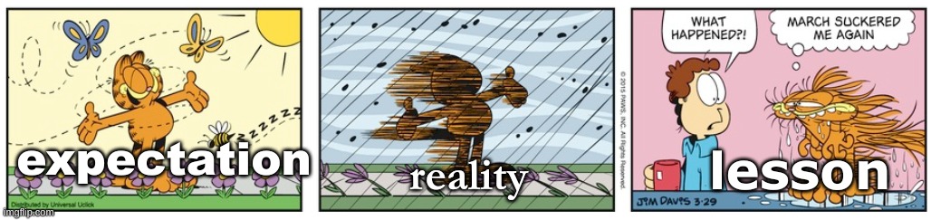 new temp | expectation; reality; lesson | image tagged in march suckered me again | made w/ Imgflip meme maker