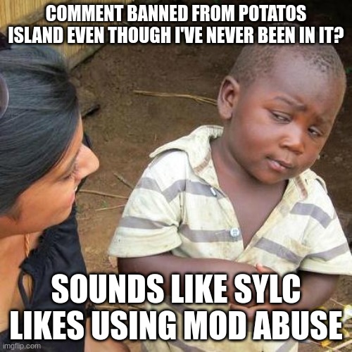 THAT'S WILD | COMMENT BANNED FROM POTATOS ISLAND EVEN THOUGH I'VE NEVER BEEN IN IT? SOUNDS LIKE SYLC LIKES USING MOD ABUSE | image tagged in memes,third world skeptical kid | made w/ Imgflip meme maker