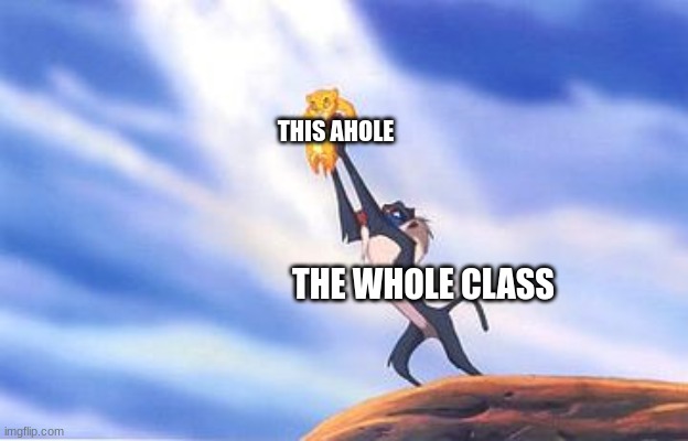 Sacrifice Simba  | THIS AHOLE THE WHOLE CLASS | image tagged in sacrifice simba | made w/ Imgflip meme maker