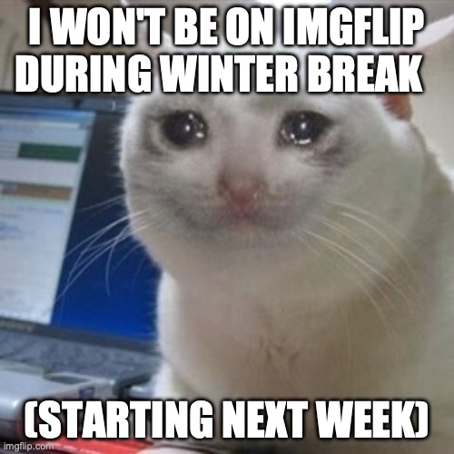 Crying cat | I WON'T BE ON IMGFLIP DURING WINTER BREAK; (STARTING NEXT WEEK) | image tagged in crying cat | made w/ Imgflip meme maker