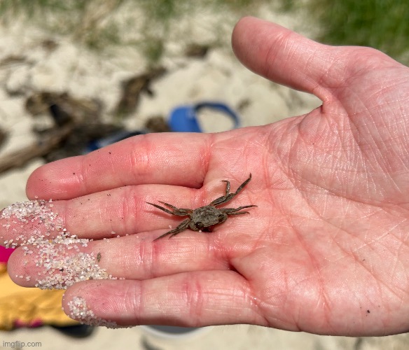 carb. | made w/ Imgflip meme maker