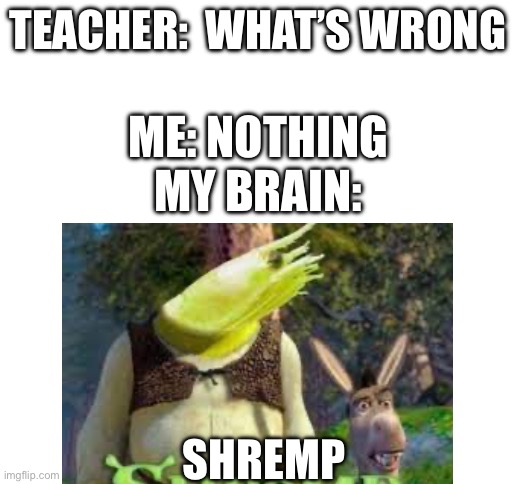 My brain during an exam | TEACHER:  WHAT’S WRONG; ME: NOTHING
MY BRAIN:; SHREMP | made w/ Imgflip meme maker