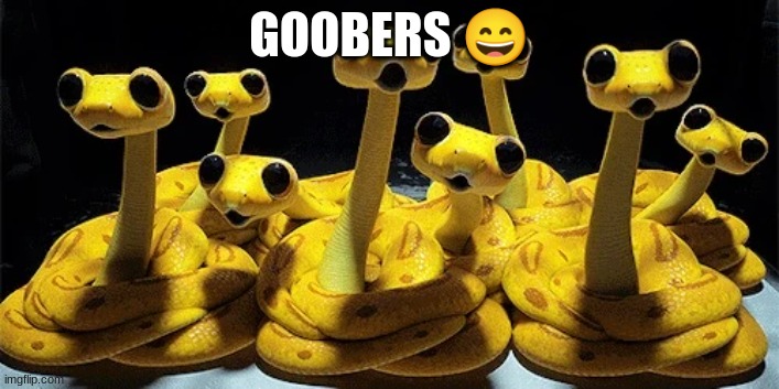 goobers ? | GOOBERS 😄 | image tagged in funny | made w/ Imgflip meme maker