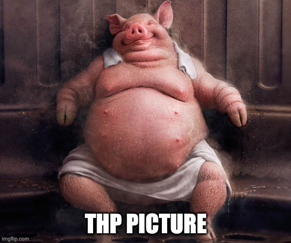 Big pig | THP PICTURE | image tagged in big pig | made w/ Imgflip meme maker