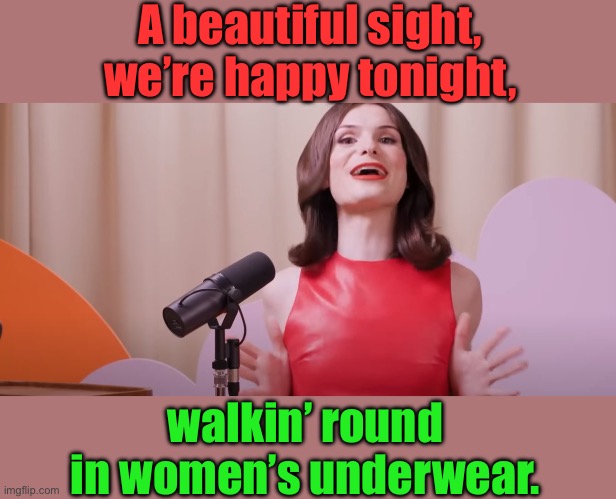 Trans Xmas Carol | A beautiful sight, we’re happy tonight, walkin’ round in women’s underwear. | image tagged in dylan mulvaney | made w/ Imgflip meme maker