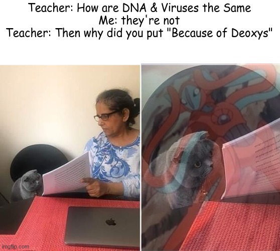 Woman showing paper to cat | Teacher: How are DNA & Viruses the Same
Me: they're not
Teacher: Then why did you put "Because of Deoxys" | image tagged in woman showing paper to cat,pokemon | made w/ Imgflip meme maker