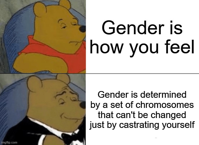 Gender | Gender is how you feel; Gender is determined by a set of chromosomes that can't be changed just by castrating yourself | image tagged in memes,tuxedo winnie the pooh,gender | made w/ Imgflip meme maker