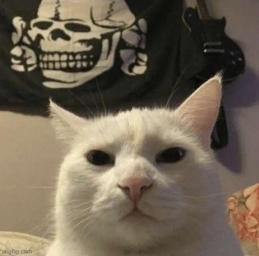 Anti-Semitic Cat | image tagged in anti-semitic cat | made w/ Imgflip meme maker