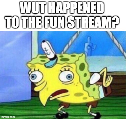 whats going on | WUT HAPPENED TO THE FUN STREAM? | image tagged in memes,mocking spongebob,imgflip | made w/ Imgflip meme maker