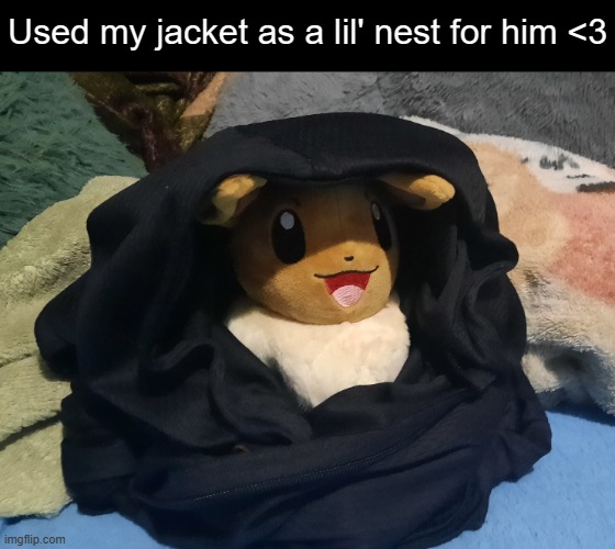 Comfy Boi | Used my jacket as a lil' nest for him <3 | image tagged in eevee | made w/ Imgflip meme maker