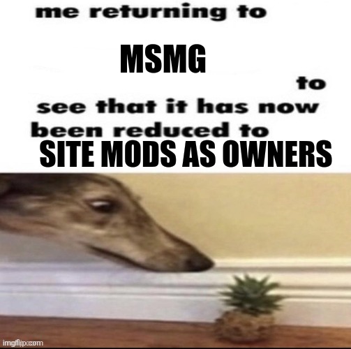 I was shocked, I'm not gonna lie. I don't think it's terrible though. | MSMG; SITE MODS AS OWNERS | image tagged in me returning to to see that it has now been reduced to | made w/ Imgflip meme maker