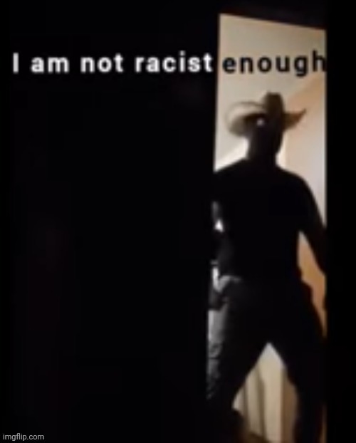 I am not racist enough | image tagged in i am not racist enough | made w/ Imgflip meme maker