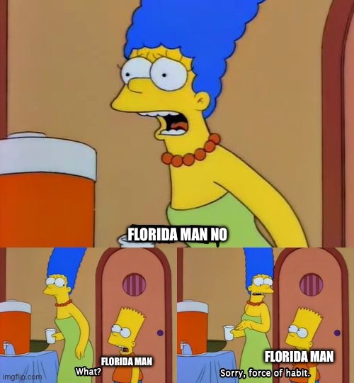 Florida Man No | FLORIDA MAN NO; FLORIDA MAN; FLORIDA MAN | image tagged in simpsons bart no,florida man,stop reading the tags,stop reading these tags,stop | made w/ Imgflip meme maker