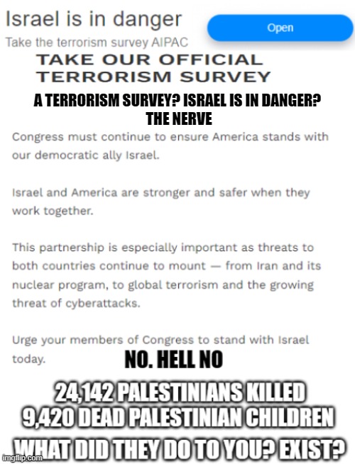 Israel Terrorism | A TERRORISM SURVEY? ISRAEL IS IN DANGER? 
THE NERVE | image tagged in israel,terrorism,hamas,palestine,genocide | made w/ Imgflip meme maker