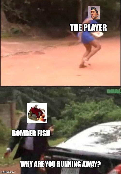 subnautica memes | THE PLAYER; BOMBER FISH; WHY ARE YOU RUNNING AWAY? | image tagged in subnautica | made w/ Imgflip meme maker