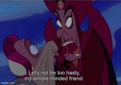 When your simple minded friend is being too hasty | image tagged in when your simple minded friend is being too hasty | made w/ Imgflip meme maker