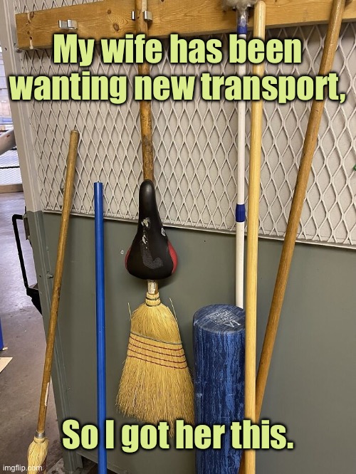 Transport | My wife has been wanting new transport, So I got her this. | image tagged in transport | made w/ Imgflip meme maker