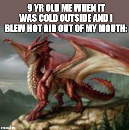 "LOOK MOMMY!! I'M A DRAGON! RAWR!" | 9 YR OLD ME WHEN IT WAS COLD OUTSIDE AND I BLEW HOT AIR OUT OF MY MOUTH: | image tagged in dragon,little kid,cold weather | made w/ Imgflip meme maker