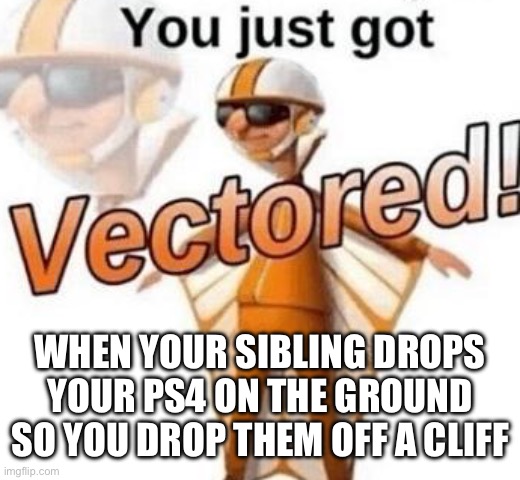 You just got vectored | WHEN YOUR SIBLING DROPS YOUR PS4 ON THE GROUND SO YOU DROP THEM OFF A CLIFF | image tagged in you just got vectored | made w/ Imgflip meme maker