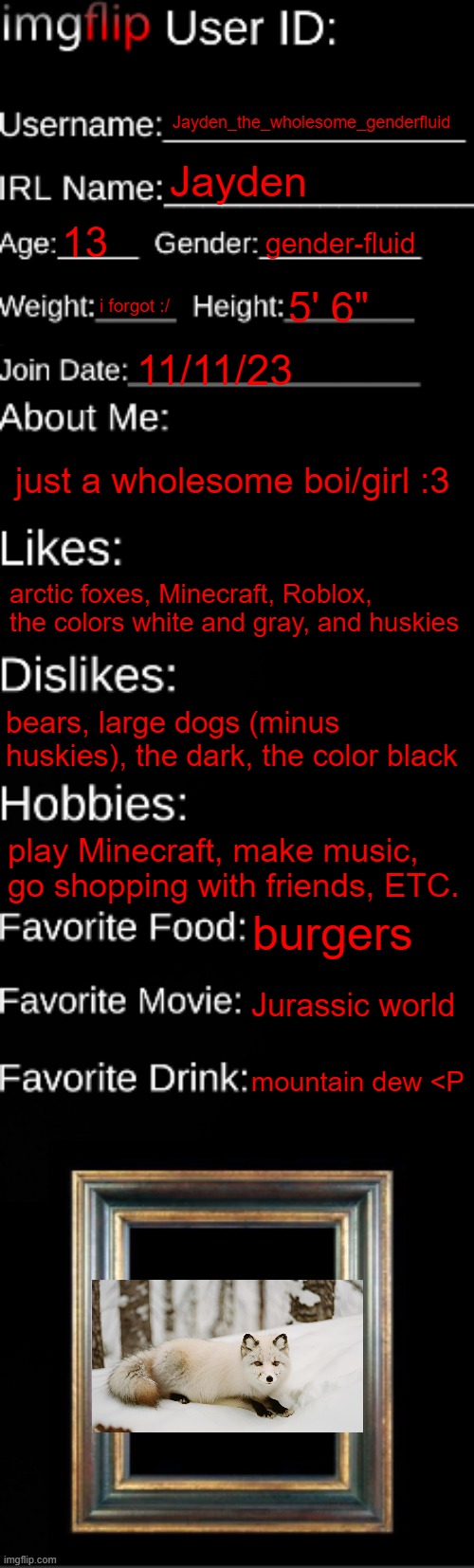 :3 | Jayden_the_wholesome_genderfluid; Jayden; 13; gender-fluid; i forgot :/; 5' 6"; 11/11/23; just a wholesome boi/girl :3; arctic foxes, Minecraft, Roblox, the colors white and gray, and huskies; bears, large dogs (minus huskies), the dark, the color black; play Minecraft, make music, go shopping with friends, ETC. burgers; Jurassic world; mountain dew <P | image tagged in imgflip id card | made w/ Imgflip meme maker
