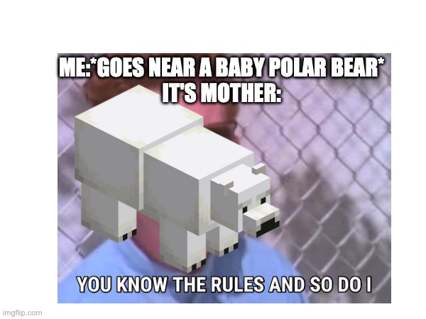 ME:*GOES NEAR A BABY POLAR BEAR*
IT'S MOTHER: | made w/ Imgflip meme maker