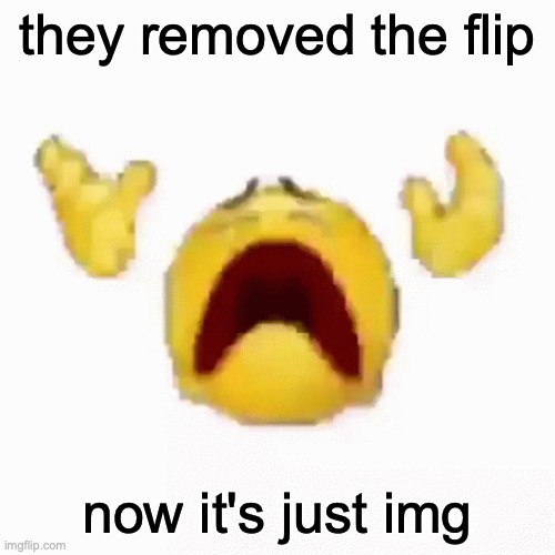 :nooo: | they removed the flip; now it's just img | image tagged in nooo | made w/ Imgflip meme maker