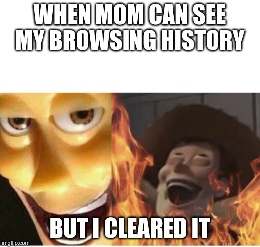 ultimate power! | WHEN MOM CAN SEE MY BROWSING HISTORY; BUT I CLEARED IT | image tagged in fire woody,power,browser history | made w/ Imgflip meme maker