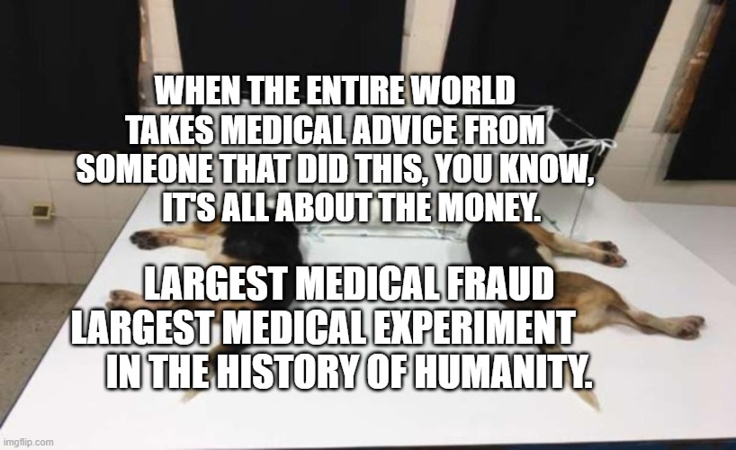 Fauci Beagles | WHEN THE ENTIRE WORLD TAKES MEDICAL ADVICE FROM SOMEONE THAT DID THIS, YOU KNOW,       IT'S ALL ABOUT THE MONEY. LARGEST MEDICAL FRAUD LARGEST MEDICAL EXPERIMENT       
 IN THE HISTORY OF HUMANITY. | image tagged in fauci beagles | made w/ Imgflip meme maker