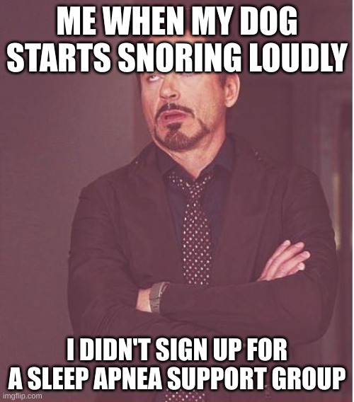Face You Make Robert Downey Jr Meme | ME WHEN MY DOG STARTS SNORING LOUDLY; I DIDN'T SIGN UP FOR A SLEEP APNEA SUPPORT GROUP | image tagged in memes,face you make robert downey jr | made w/ Imgflip meme maker