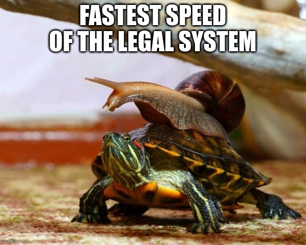snail on a turtle | FASTEST SPEED OF THE LEGAL SYSTEM | image tagged in snail on a turtle | made w/ Imgflip meme maker