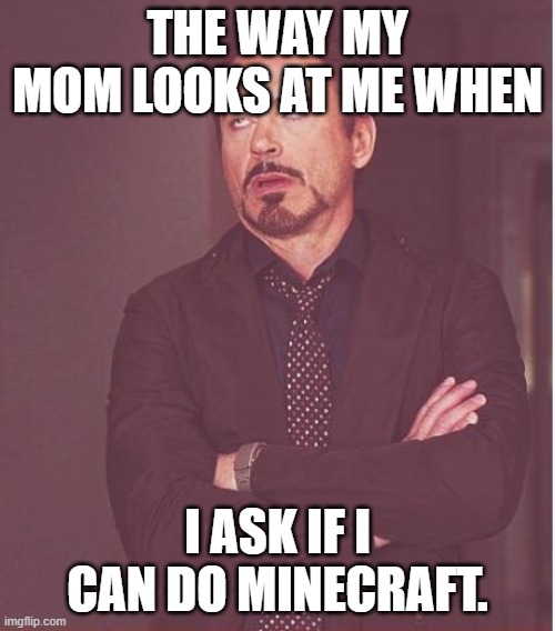 Does anybody else's mom do this? | THE WAY MY MOM LOOKS AT ME WHEN; I ASK IF I CAN DO MINECRAFT. | image tagged in memes,face you make robert downey jr | made w/ Imgflip meme maker