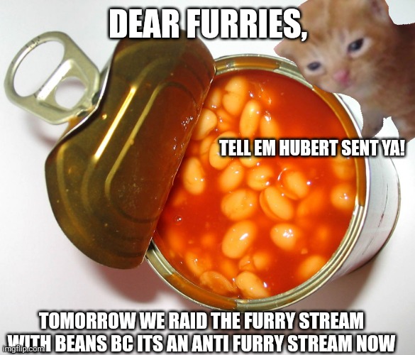 Dav | DEAR FURRIES, TELL EM HUBERT SENT YA! TOMORROW WE RAID THE FURRY STREAM WITH BEANS BC ITS AN ANTI FURRY STREAM NOW | image tagged in can of beans | made w/ Imgflip meme maker