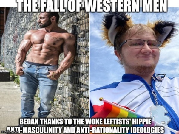 Fall of western men thanks to wokeness | image tagged in cringe,sjws,stupid liberals,hippies | made w/ Imgflip meme maker