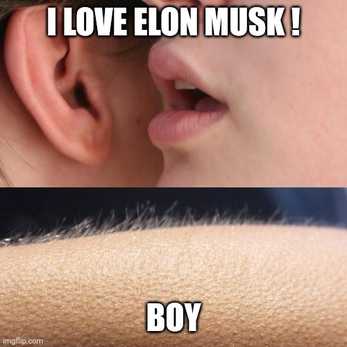 elon musk | I LOVE ELON MUSK ! BOY | image tagged in whisper and goosebumps | made w/ Imgflip meme maker