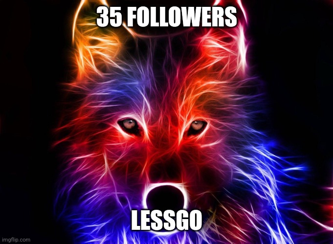 Wolf | 35 FOLLOWERS; LESSGO | image tagged in wolf | made w/ Imgflip meme maker