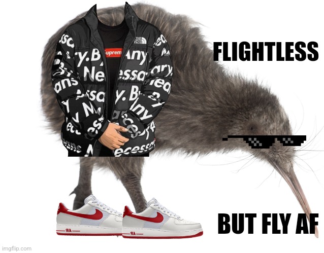 Kiwi | FLIGHTLESS; BUT FLY AF | image tagged in kiwi | made w/ Imgflip meme maker