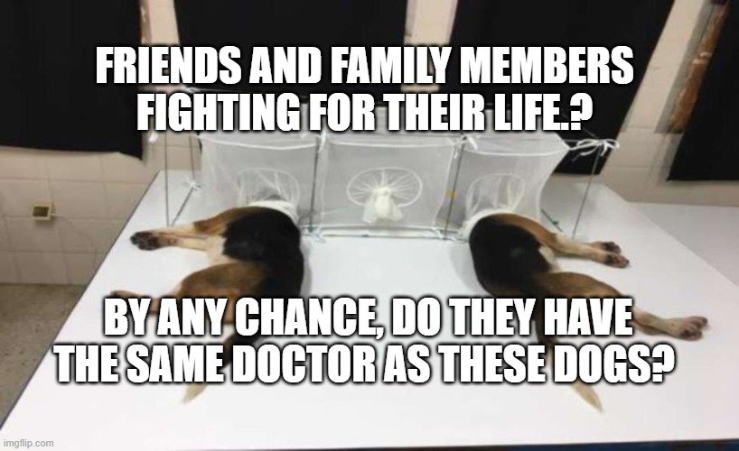Fauci Beagles | FRIENDS AND FAMILY MEMBERS FIGHTING FOR THEIR LIFE.? BY ANY CHANCE, DO THEY HAVE THE SAME DOCTOR AS THESE DOGS? | image tagged in fauci beagles | made w/ Imgflip meme maker