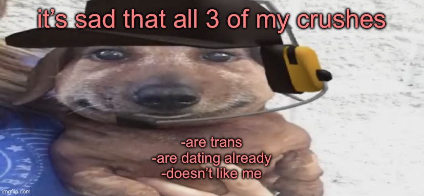 chucklenuts | it’s sad that all 3 of my crushes; -are trans
-are dating already
-doesn’t like me | image tagged in chucklenuts | made w/ Imgflip meme maker