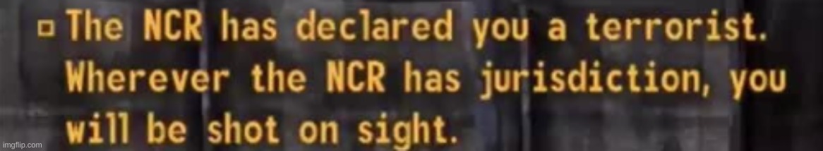 The NCR has declared you a terrorist. | image tagged in the ncr has declared you a terrorist | made w/ Imgflip meme maker