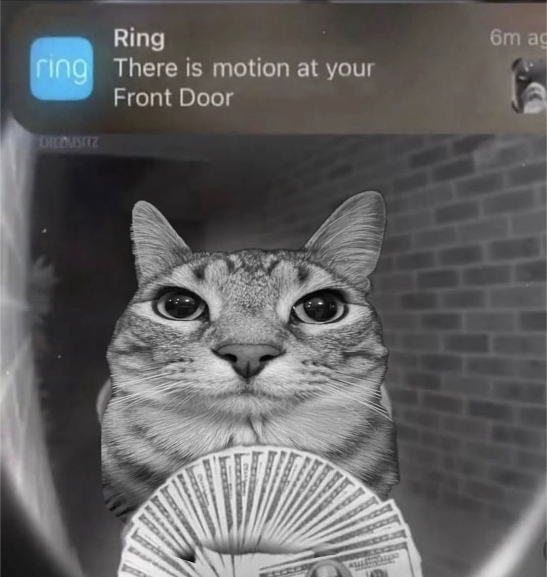 Motion Blank Template Imgflip