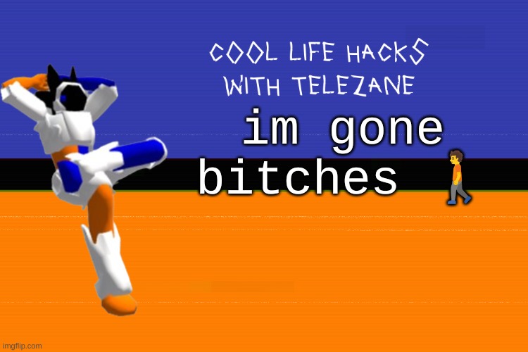 cool life hacks with telezane | im gone bitches 🚶 | image tagged in cool life hacks with telezane | made w/ Imgflip meme maker