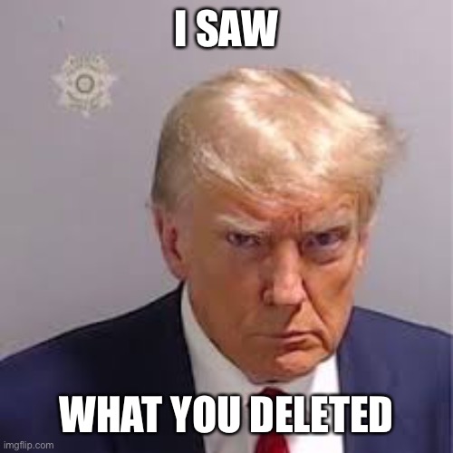 I saw it | I SAW; WHAT YOU DELETED | image tagged in donald trump | made w/ Imgflip meme maker