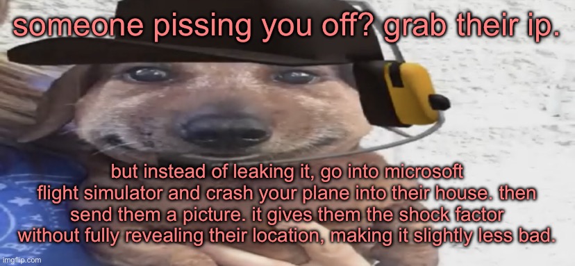 chucklenuts | someone pissing you off? grab their ip. but instead of leaking it, go into microsoft flight simulator and crash your plane into their house. then send them a picture. it gives them the shock factor without fully revealing their location, making it slightly less bad. | image tagged in chucklenuts | made w/ Imgflip meme maker