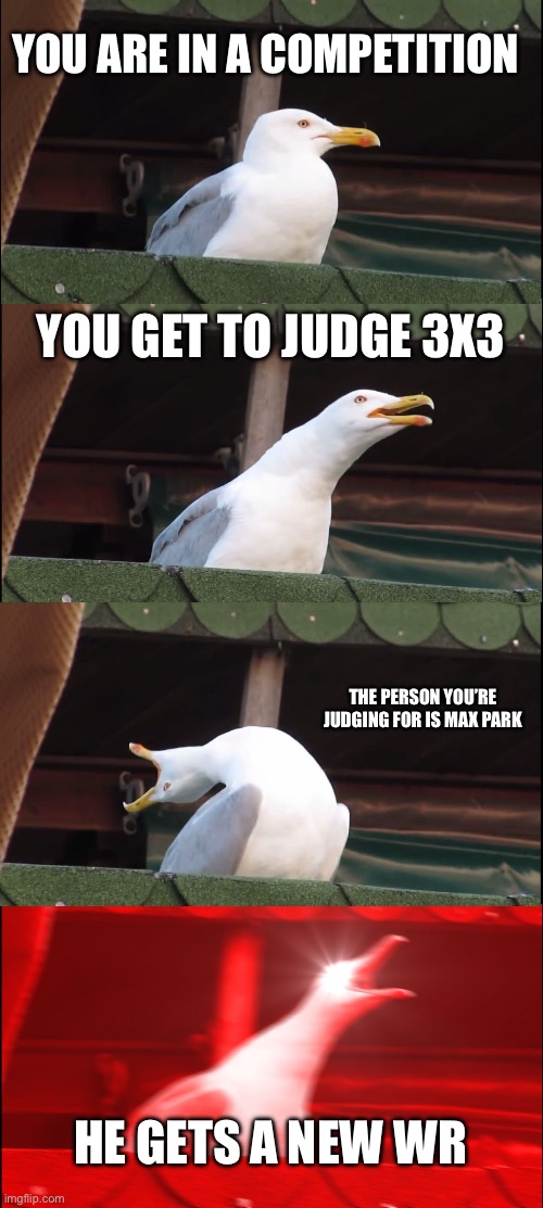 ngl I hope this happens in the next usa continental championship | YOU ARE IN A COMPETITION; YOU GET TO JUDGE 3X3; THE PERSON YOU’RE JUDGING FOR IS MAX PARK; HE GETS A NEW WR | image tagged in memes,inhaling seagull | made w/ Imgflip meme maker