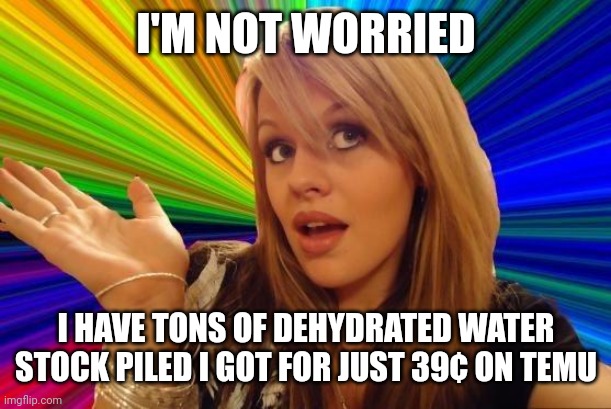 Dumb Blonde Meme | I'M NOT WORRIED I HAVE TONS OF DEHYDRATED WATER STOCK PILED I GOT FOR JUST 39¢ ON TEMU | image tagged in memes,dumb blonde | made w/ Imgflip meme maker