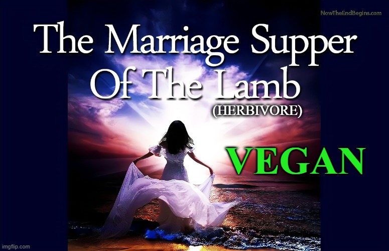 (HERBIVORE); VEGAN | made w/ Imgflip meme maker