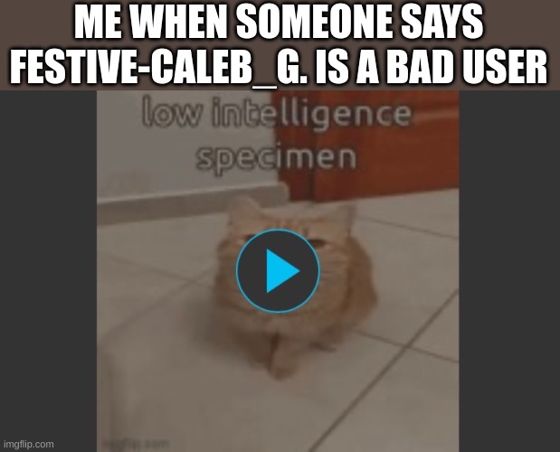 Low intelligence specimen | ME WHEN SOMEONE SAYS FESTIVE-CALEB_G. IS A BAD USER | image tagged in low intelligence specimen | made w/ Imgflip meme maker