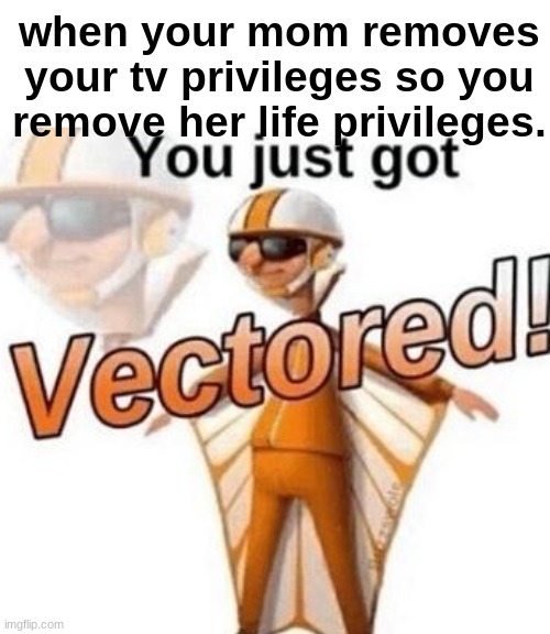 fun | when your mom removes your tv privileges so you remove her life privileges. | image tagged in you just got vectored | made w/ Imgflip meme maker