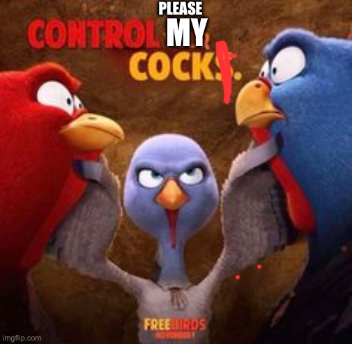 control your cocks | MY PLEASE | image tagged in control your cocks | made w/ Imgflip meme maker